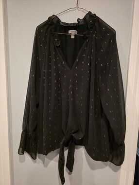 Sheer Black Ruffle Tie-Front Blouse